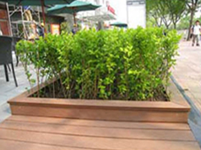 树池